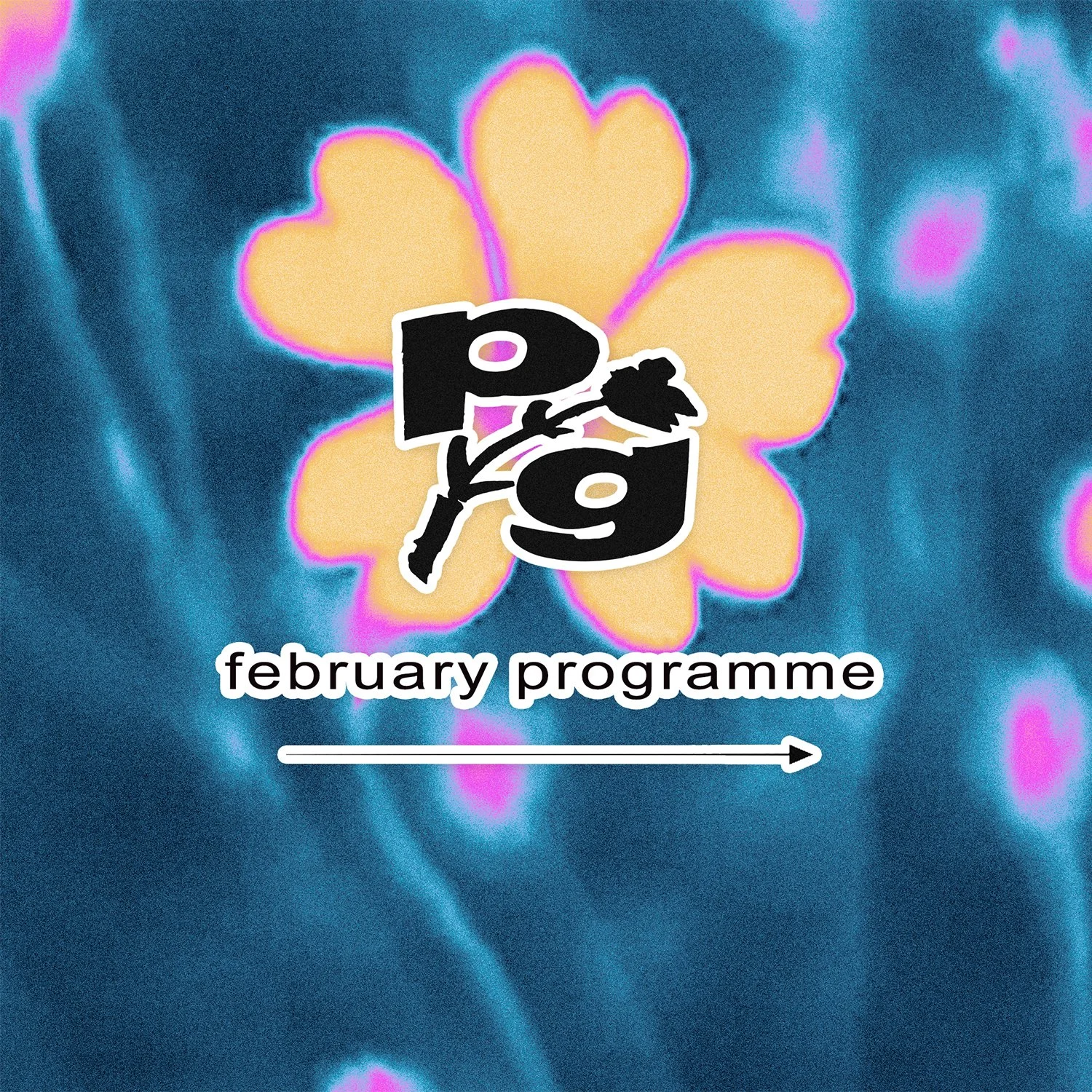 Upcoming Events — Paradise Garden